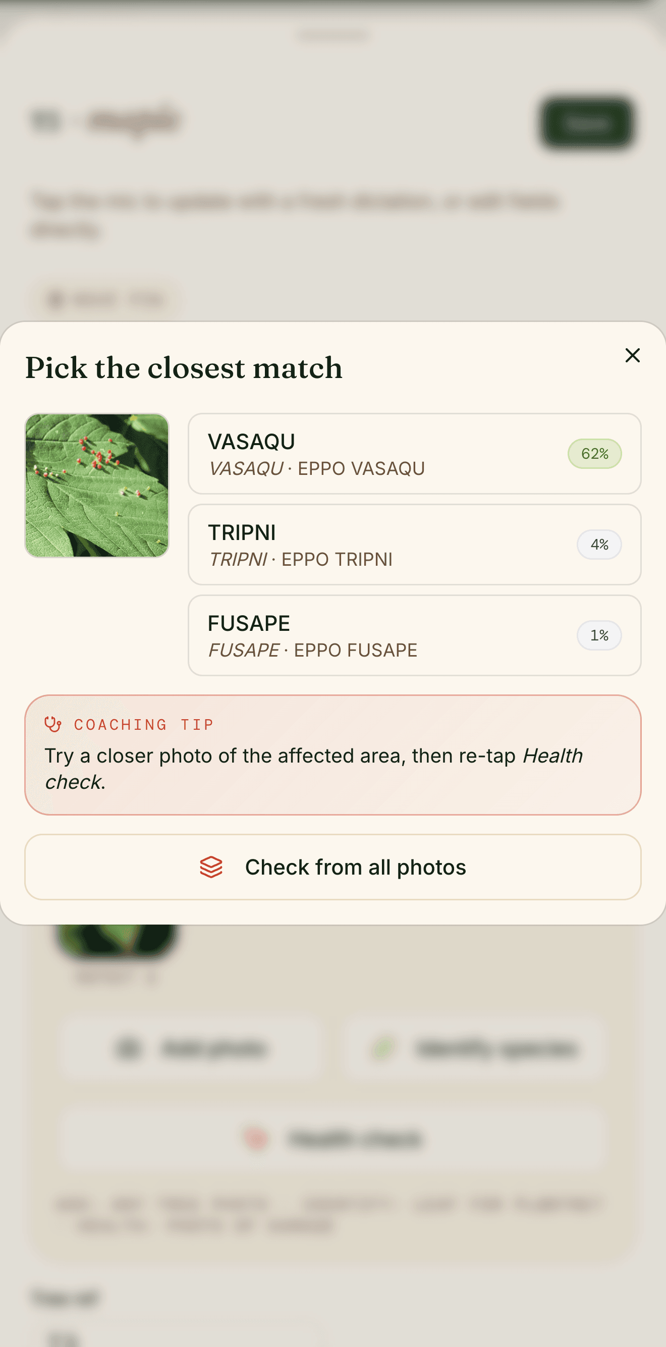 tree·canopy 'Pick the closest match' health check on iPhone: a photographed leaf with ranked, EPPO-coded pest and disease suggestions, a coaching tip to take a closer photo, and the surveyor's accept controls