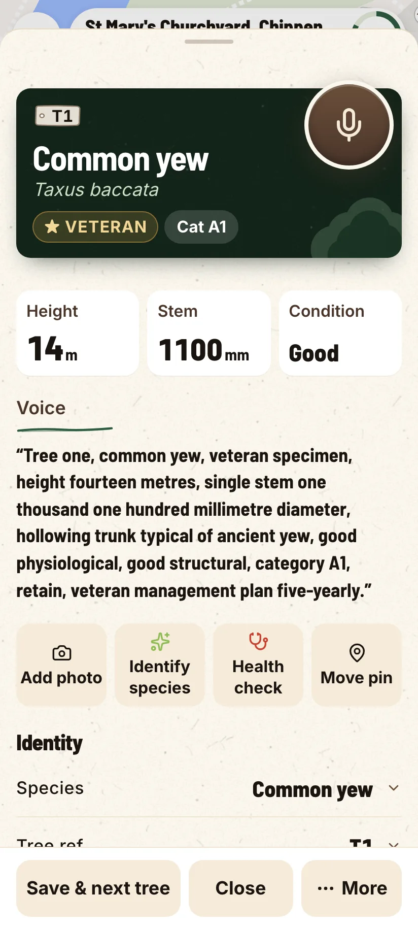 A tree record on a phone: species, size and condition, with the words you said kept on it.