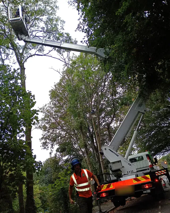 Aerial lift at the roadside, crew below.
